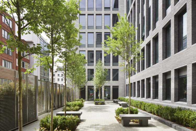 A secluded new public garden contributes to the building's civic quality