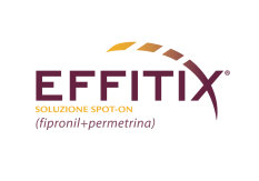 Effitix