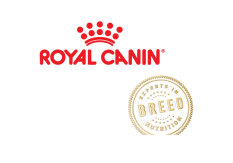 Croquettes  Royal Canin Breed pour chien