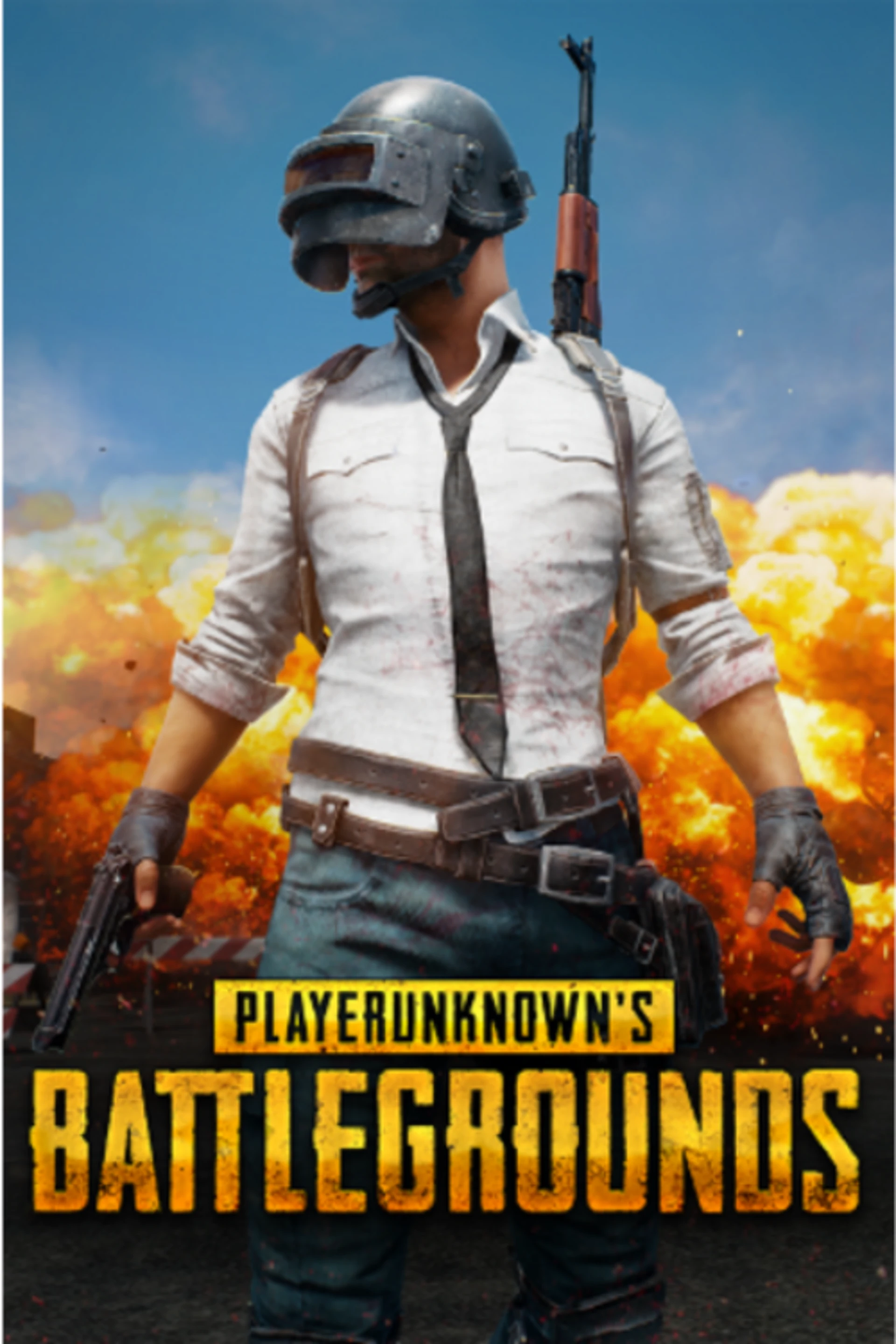player unknowns Battlegrounds game poster