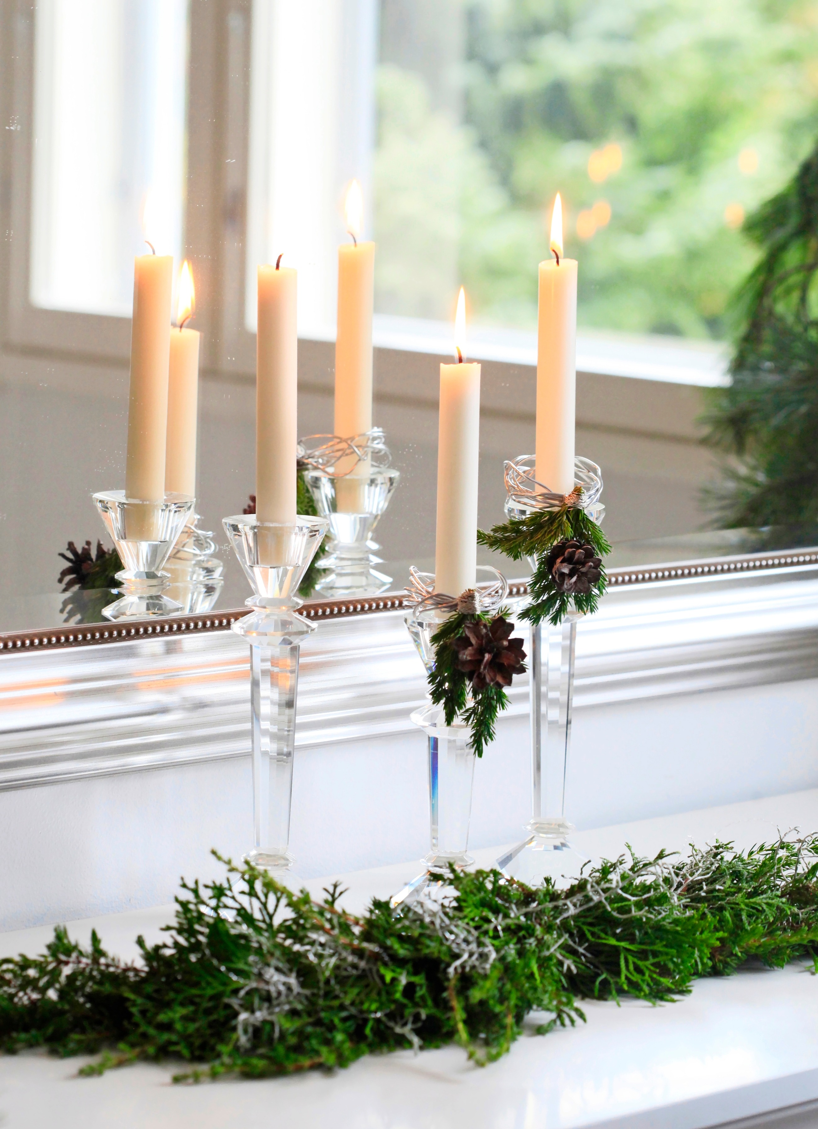 Eevan sitoma havuköynnös