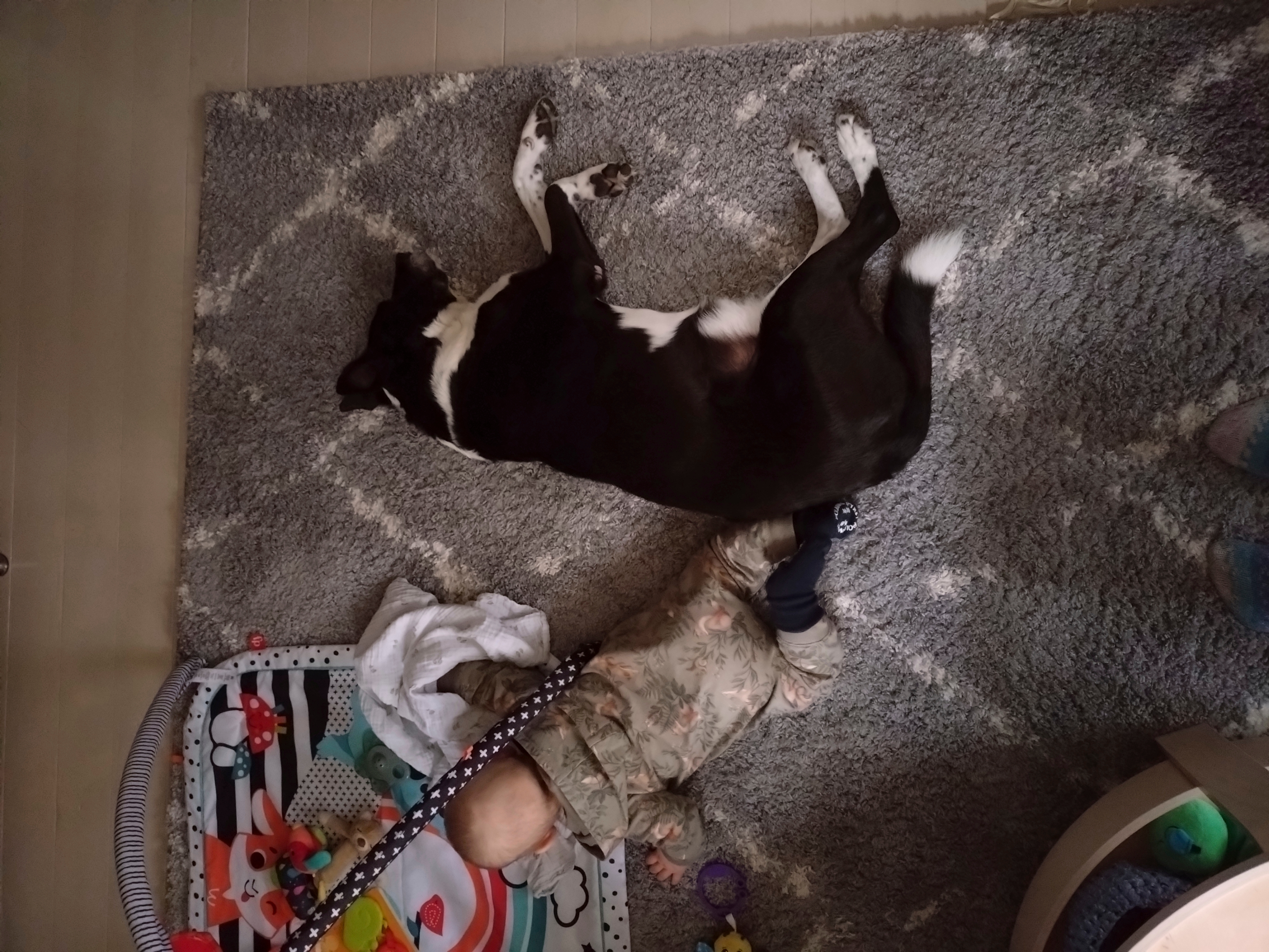 vauva ja koira makaavat vierekkäin lattialla