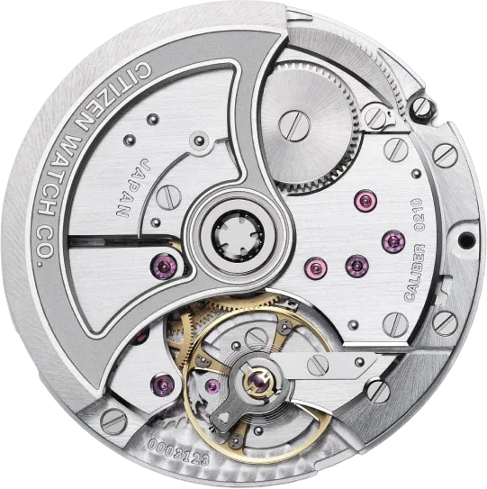 The Citizen - Caseback