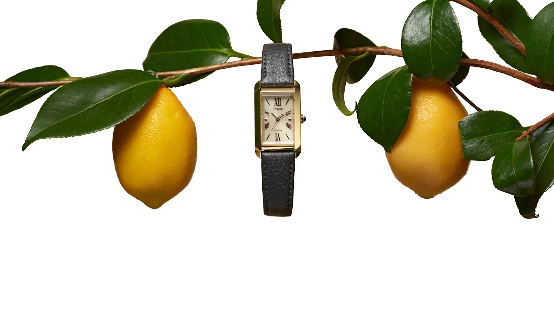 Women's Strap Watches Hero Image
