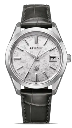 The CITIZEN Watch Logo
