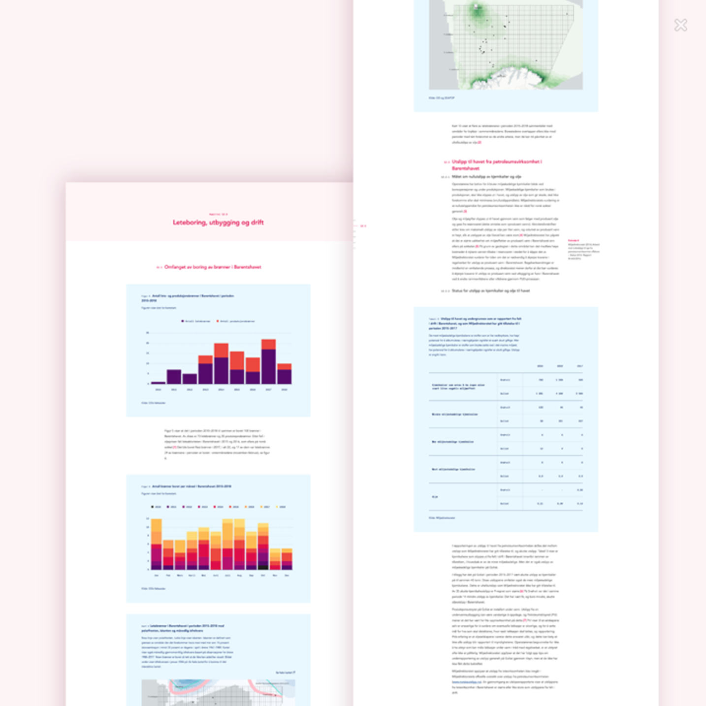 Screenshot from Riksreviasjonens website showcasing raports and graphs