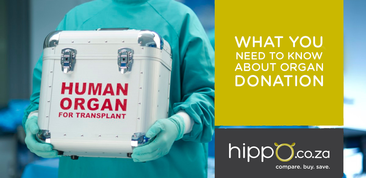 organ-donation-how-does-it-work