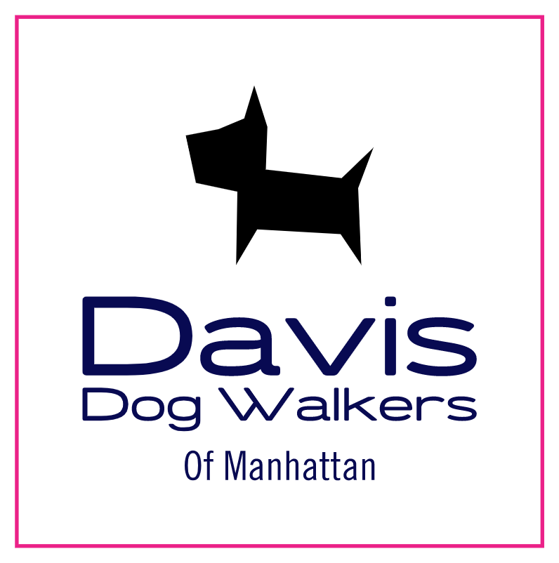 Davis-Dog-Walkers.png