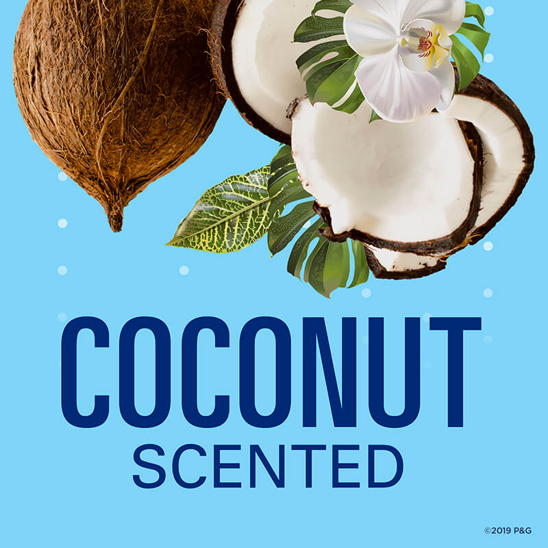 Secret Fresh Invisible Solid Coconut Scent