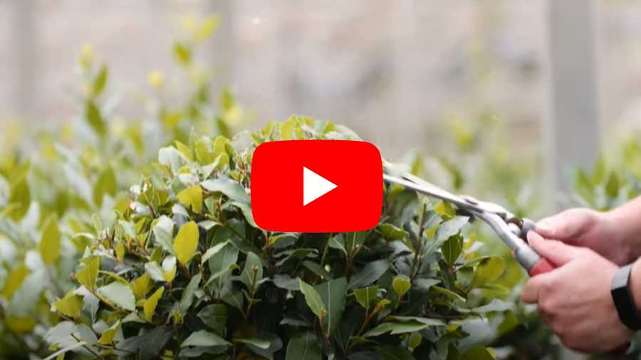 O&O Video: VARTA weet wel raad met de reststromen uit de tuin- en akkerbouw
