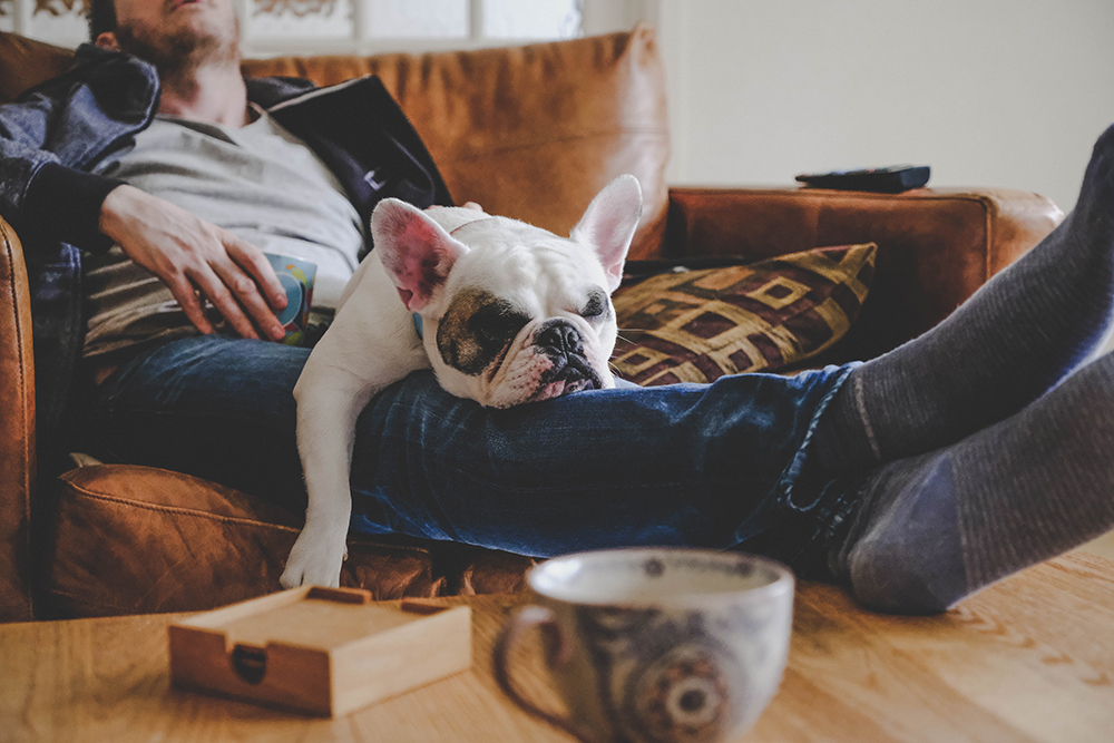 Five Things New Pet Parents Learn