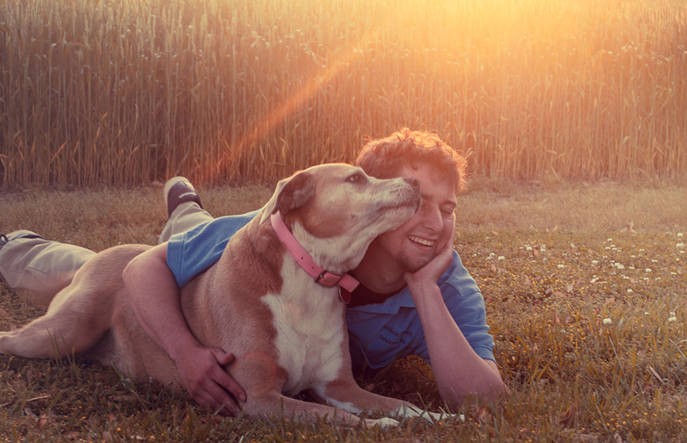 Is dog insurance worth it?
