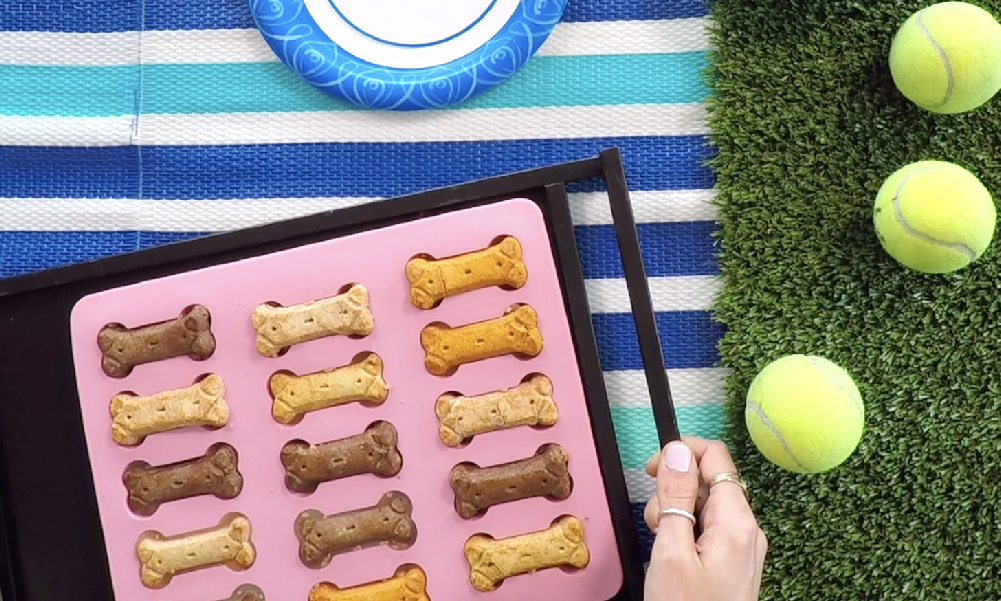 Scarf’d: Frozen bone broth dog treats