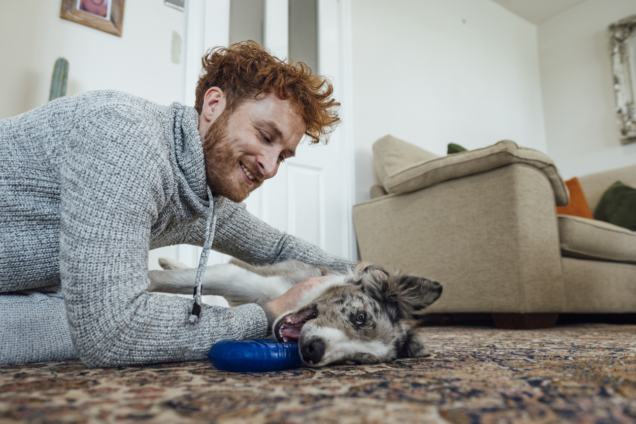 Pearly Whites: Protecting Your Dog's Dental Health Against 7 Common Pet Store Risks