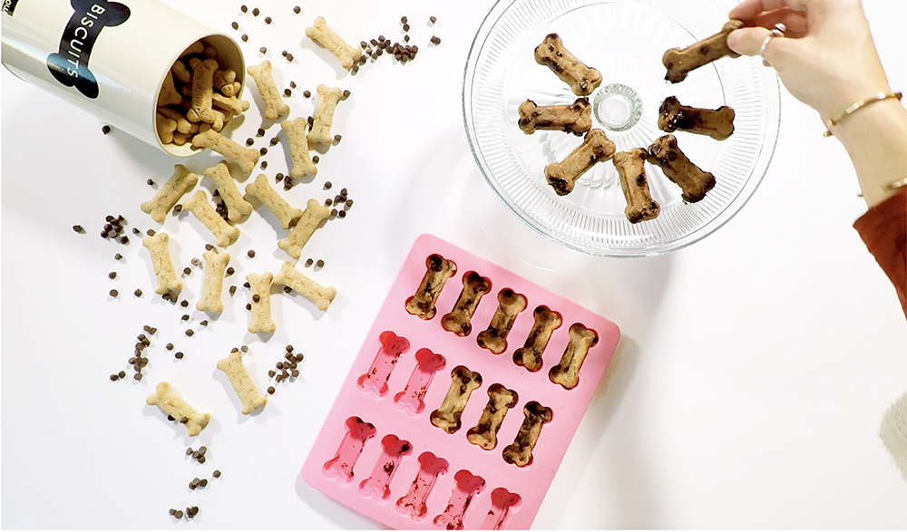 Scarf'd: Carob chip pet treats