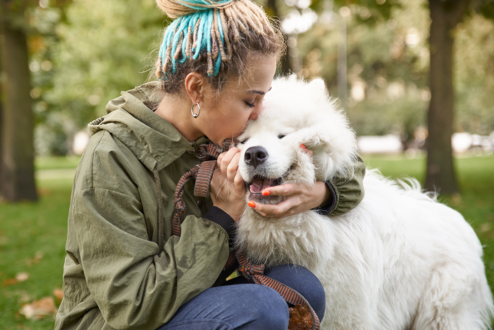 Caring for your pet when money is tight