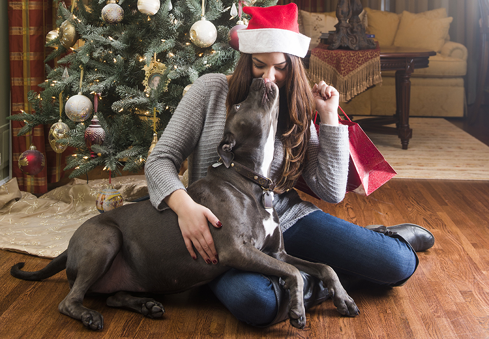Season's best dog toys