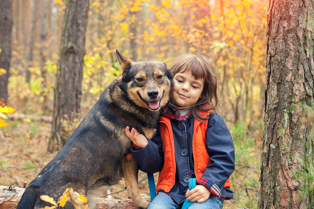 Show your dog you’re thankful