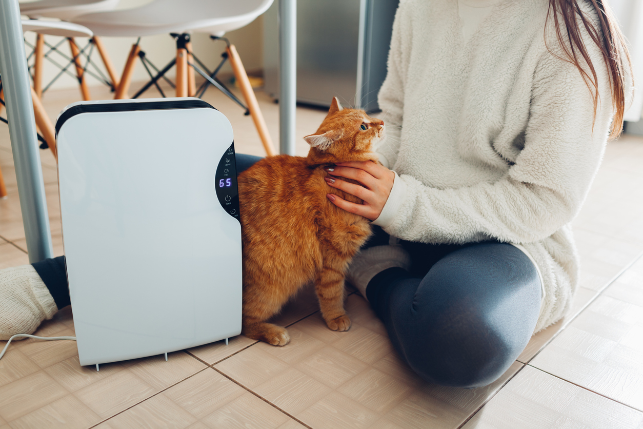 Could Your Air Conditioner Be Making Your Pet Sick?