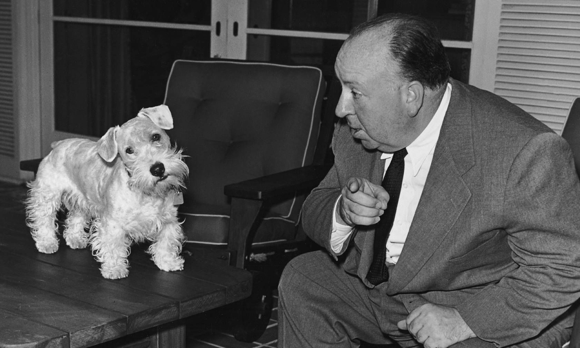 Hitchcock on mid century modern armchair talking to dog on table
