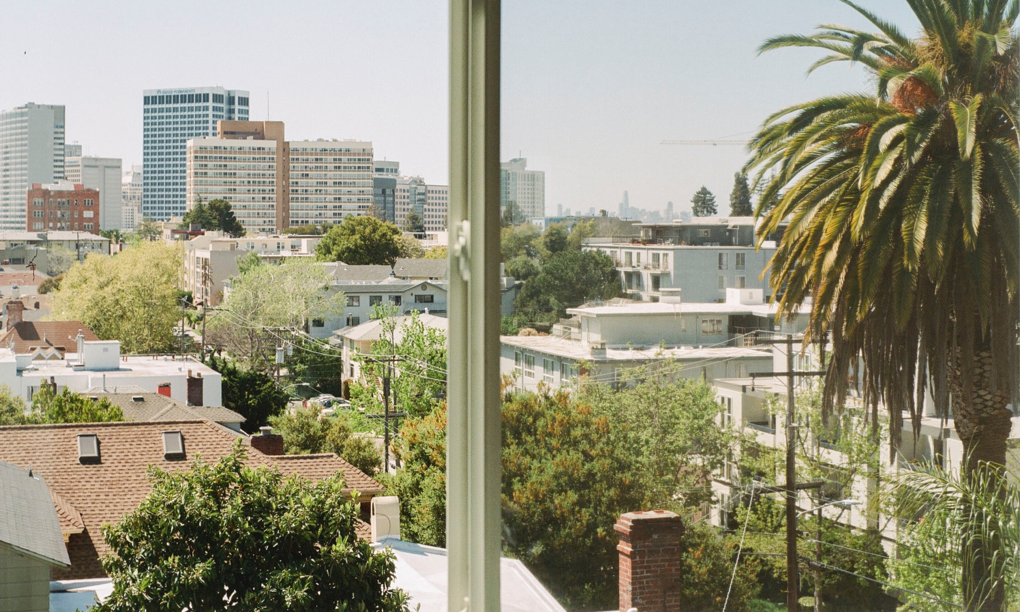 The view from Kameron's light-filled home.