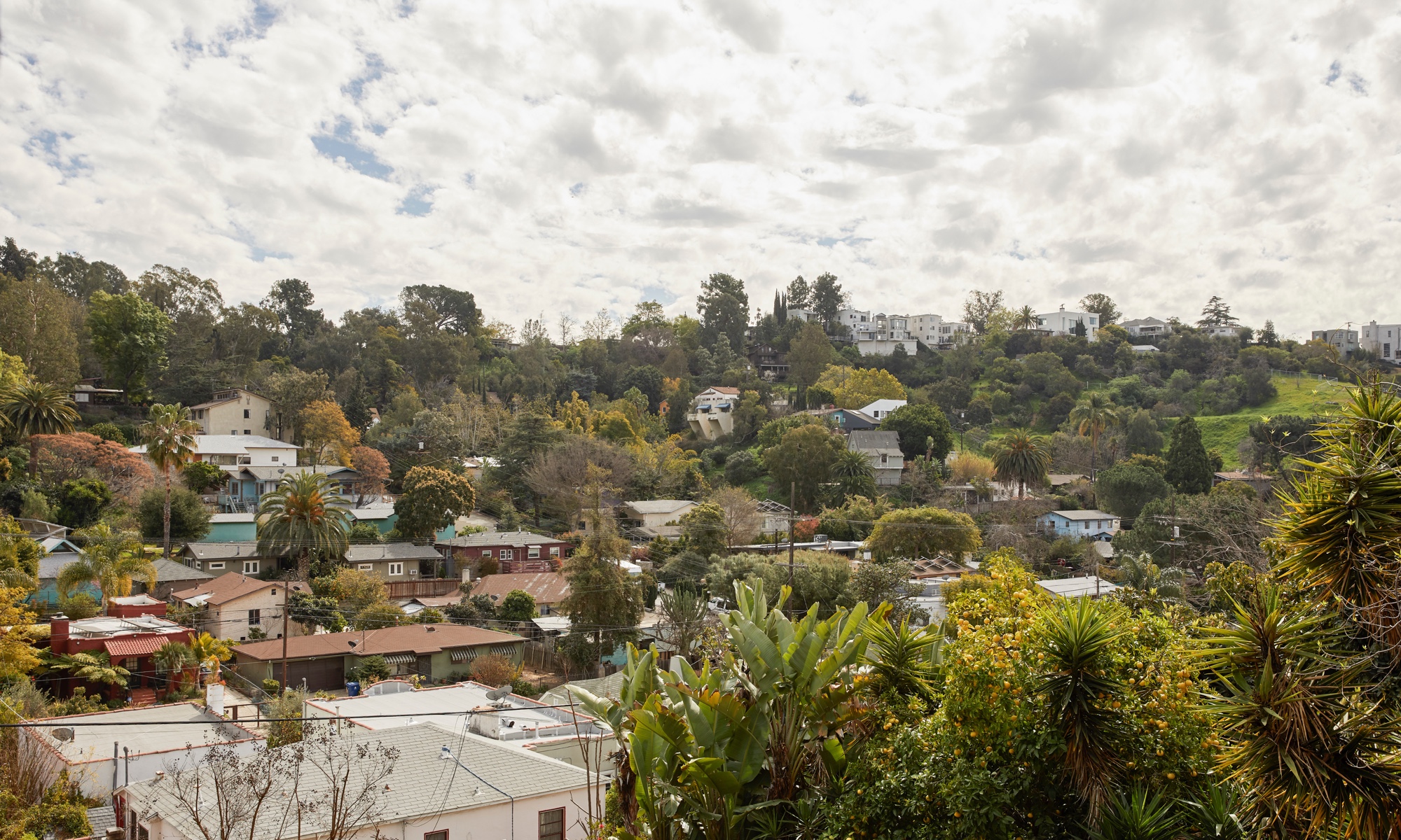 The house feels nestled in the green hills of the surrounding neighborhood.