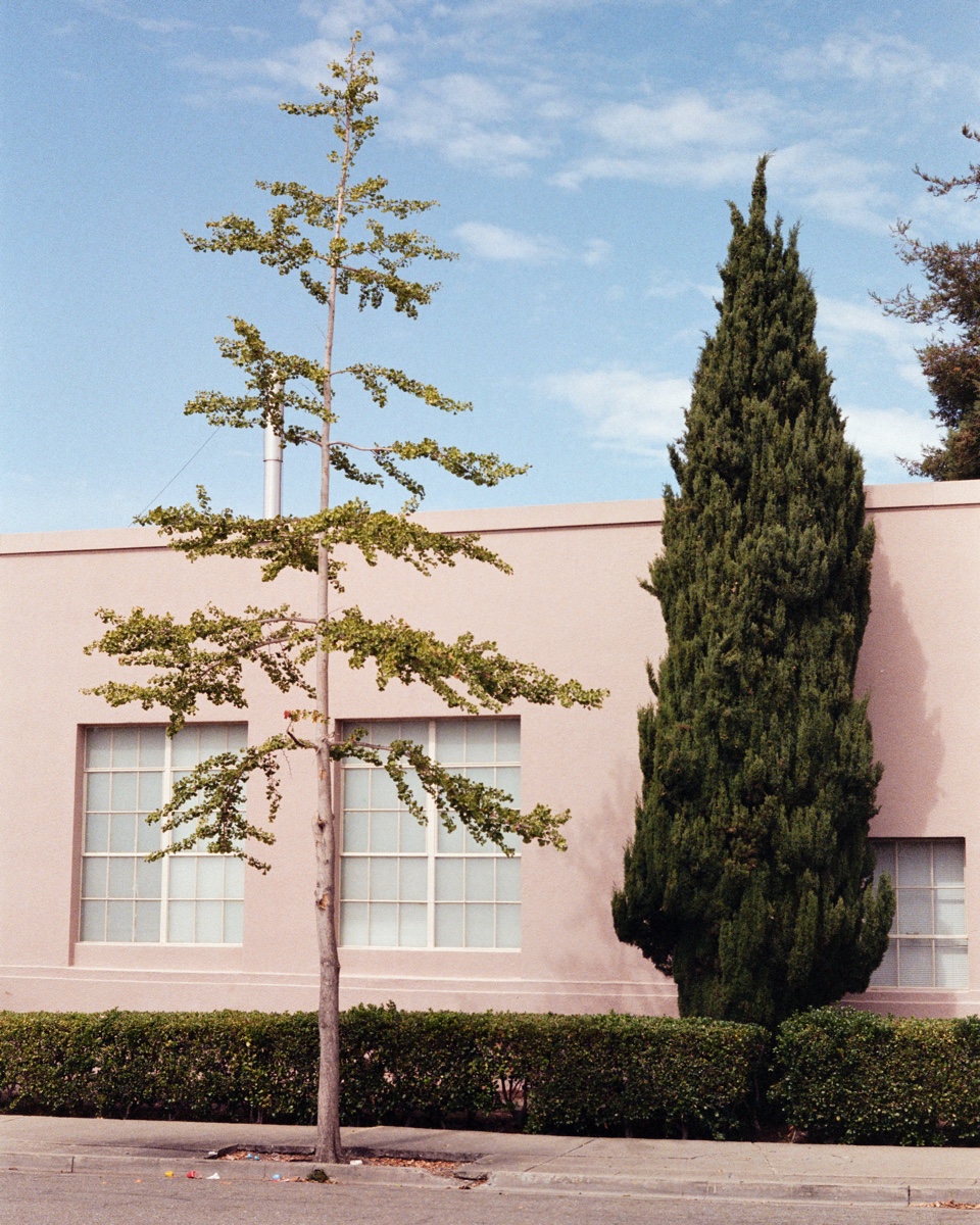Scenes from Berkeley, CA.