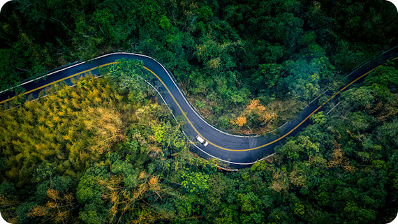 Ariel view of road through forest