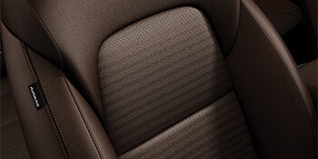 Dark Brown Leather