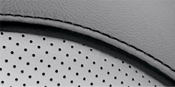 Cuir (synthétique) gris avec accentuations noires
