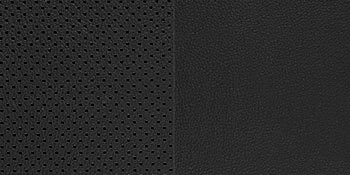 Cuir noir (Version EX Luxe et SX)