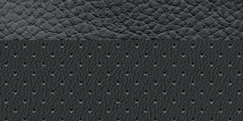 Black Leather