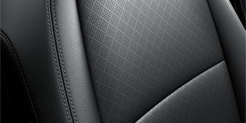 Black Leather