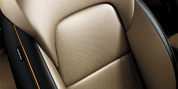 Two-Tone Canyon Beige Leather