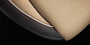 Nappa Leather Two-Tone Camel / Black