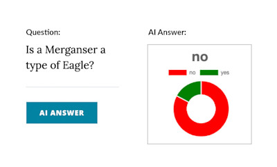 Crowd Sense: Helps us Better Define Common Sense