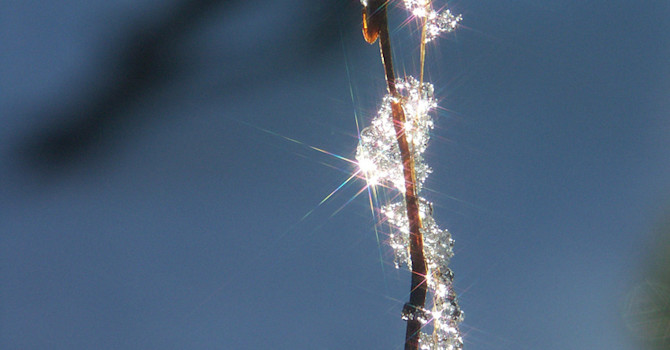 Solen glittrar på isen!
Foto: Sylvia Svensson