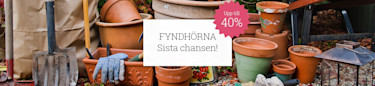 Fröer