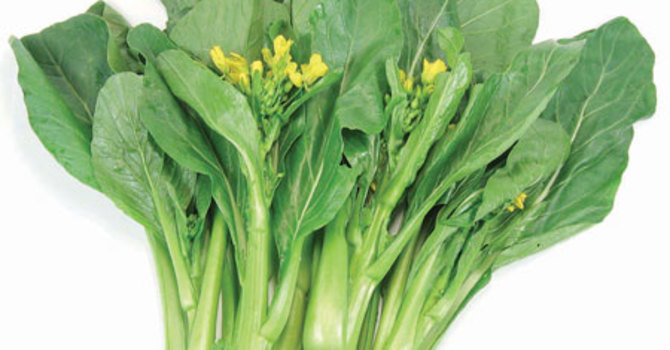 Asiatisk kål 'Choy Sum'.