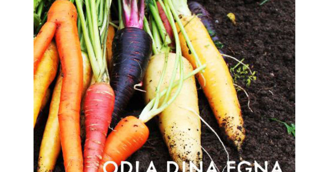 Odla dina egna grönsaker av Åke Truedsson blev Årets trädgårdsbok 2012.