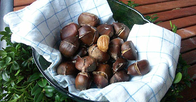 Rostade kastanjer. Foto+arr: Sylvia Svensson