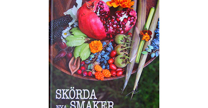 Skörda nya smaker
Foto: Sylvia Svensson
