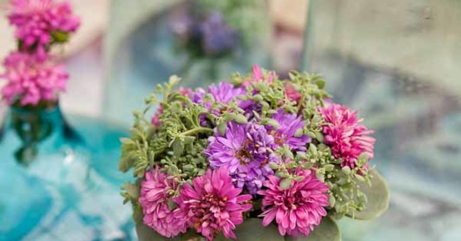 Fint arrangemang i vas med sommaraster. Foto: Minna Mercke Schmidt/Blomsterfrämjandet