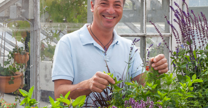Foto: Blomsterfrämjandet