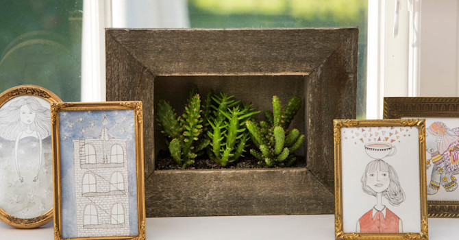 Modern och smart inredningslösning med små suckulenter i träramar.
Foto: Floradania