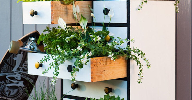 En plantering som väcker uppmärksamhet!
Foto: Blomsterfrämjandet.