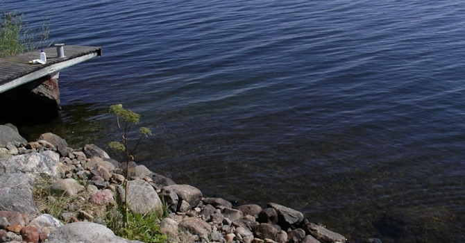 Bräckt vatten i Bottenviken kan i nödfall användas att vattna med.