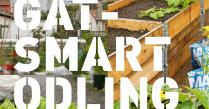 Boken Gatsmart odling berättar om hur asfalten kan blomma!