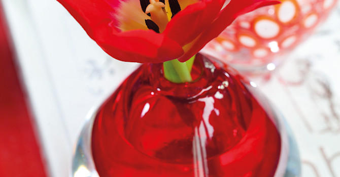 Tulpaner är även väldigt vackra en och en, som här i en röd vas.
Foto: Blomsterfrämjandet