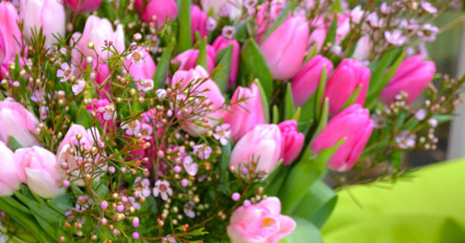 Tulpanbukett i rosa toner med vaxblommor i, Gunnar Kaj
Foto: Blomsterfrämjandet
